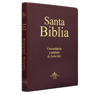 Biblias taco 7-8-9