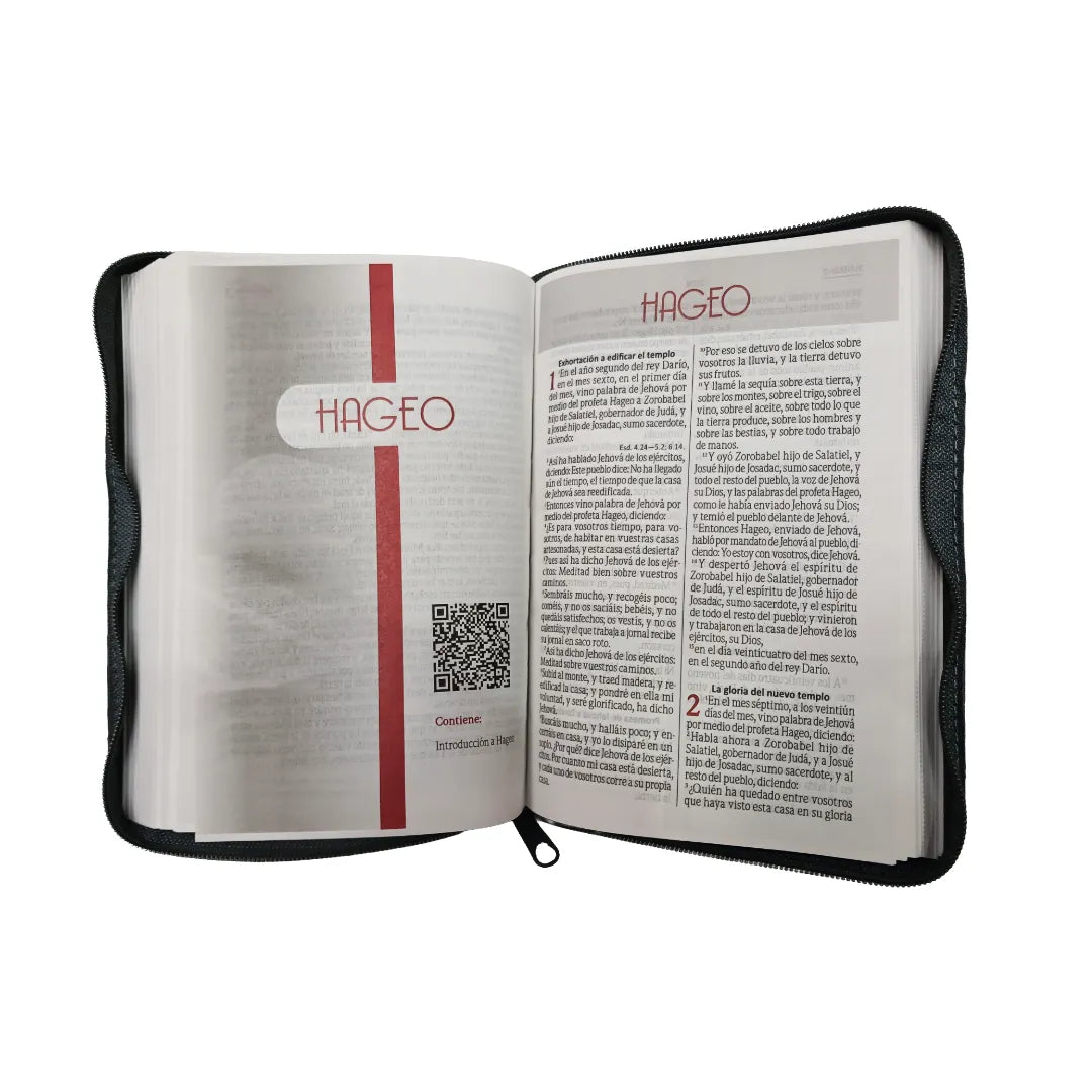 Biblia Reina Valera 1960 · 15x20 cm · Letra 11 pt · Concordancia · Con cierre · Imitación piel gris