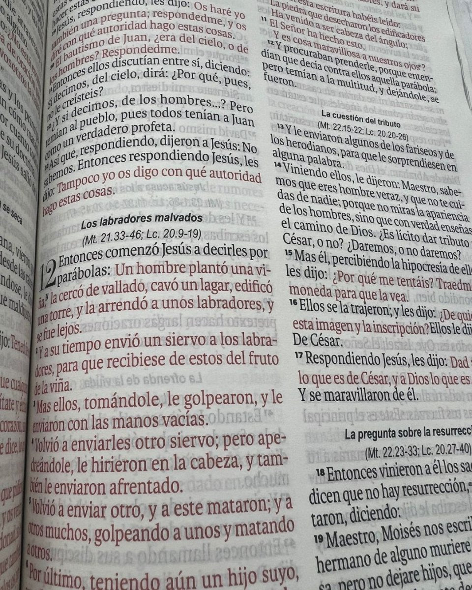 Biblia Reina Valera 1960 Exquisita – Con Concordancia – Letra 11 pts – 14x22 cm – Tapa PU – Flores Otoñales – Con Manija y Broche