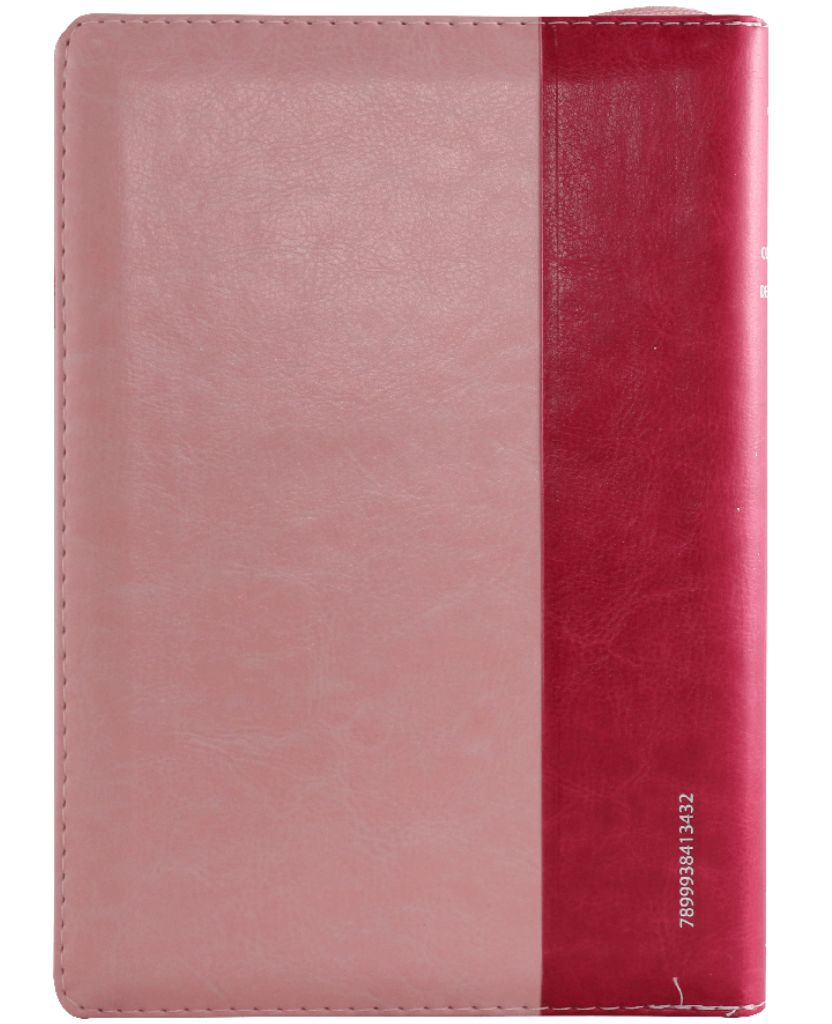 Biblia Reina Valera 1960 Letra Grande Cierre Indice Rosa
