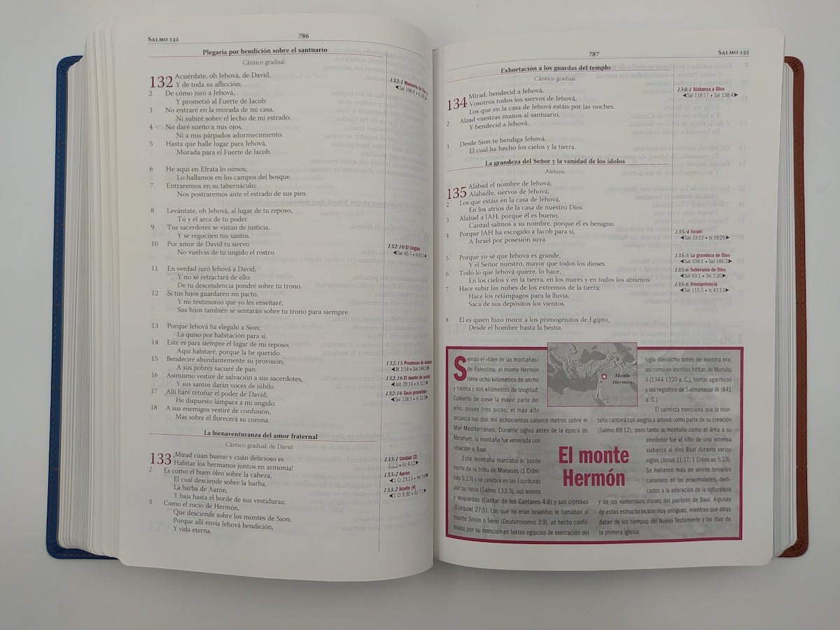 Biblia De Estudio Thompson Edición Especial Piel Dos Tonos
