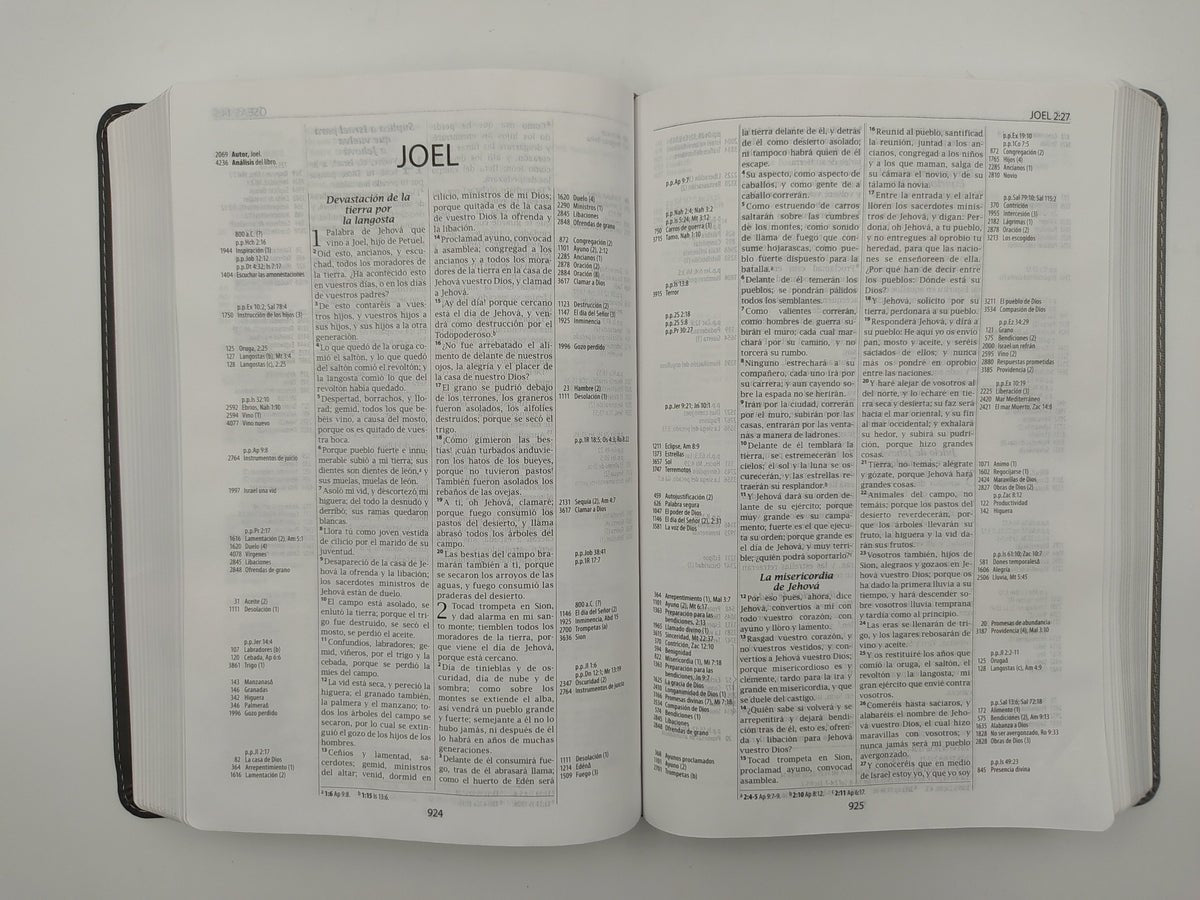 Biblia De Estudio Thompson Referencias Piel Negro Gris