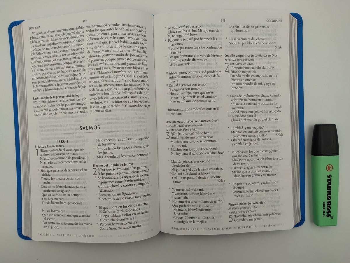Biblia Reina Valera 1960 Imágenes Tierra Santa – Tapa Imitación Piel Azul Celeste, Letra 10pt, 14x21 cm