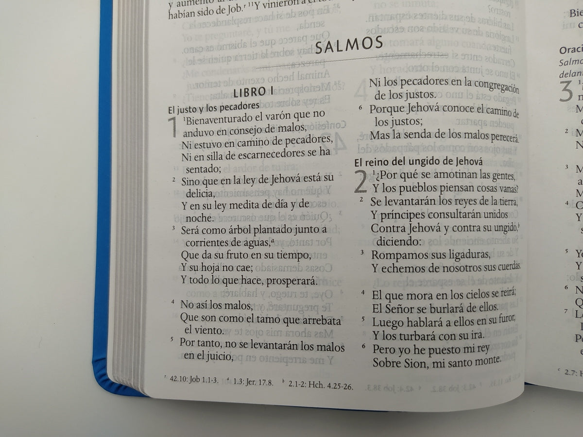 Biblia Reina Valera 1960 Imágenes Tierra Santa – Tapa Imitación Piel Azul Celeste, Letra 10pt, 14x21 cm
