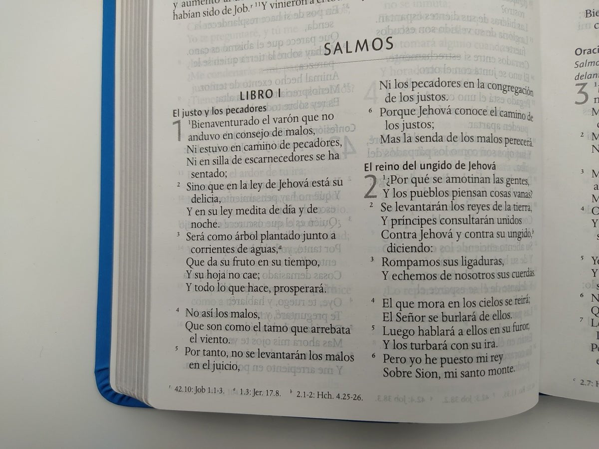 Biblia Reina Valera 1960 Imágenes Tierra Santa – Tapa Imitación Piel Azul Celeste, Letra 10pt, 14x21 cm