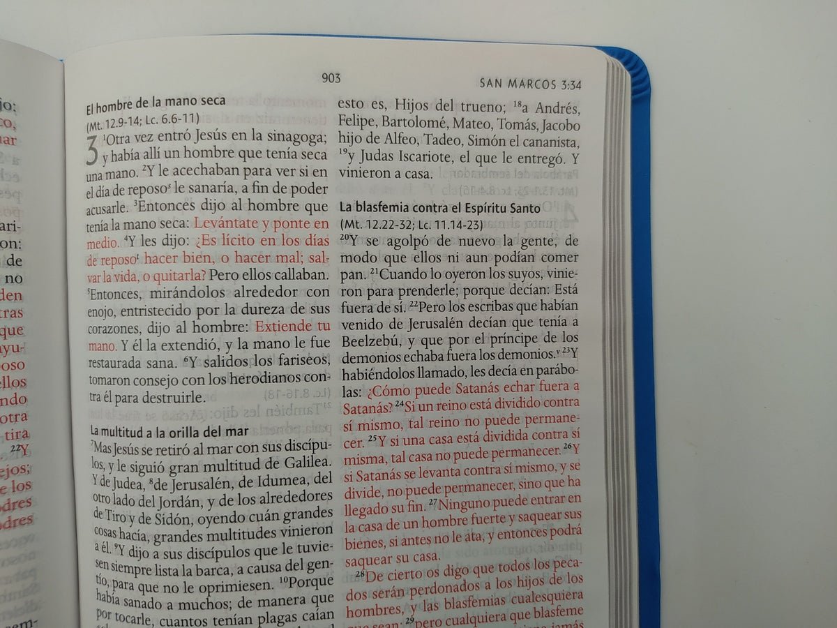 Biblia Reina Valera 1960 Imágenes Tierra Santa – Tapa Imitación Piel Azul Celeste, Letra 10pt, 14x21 cm