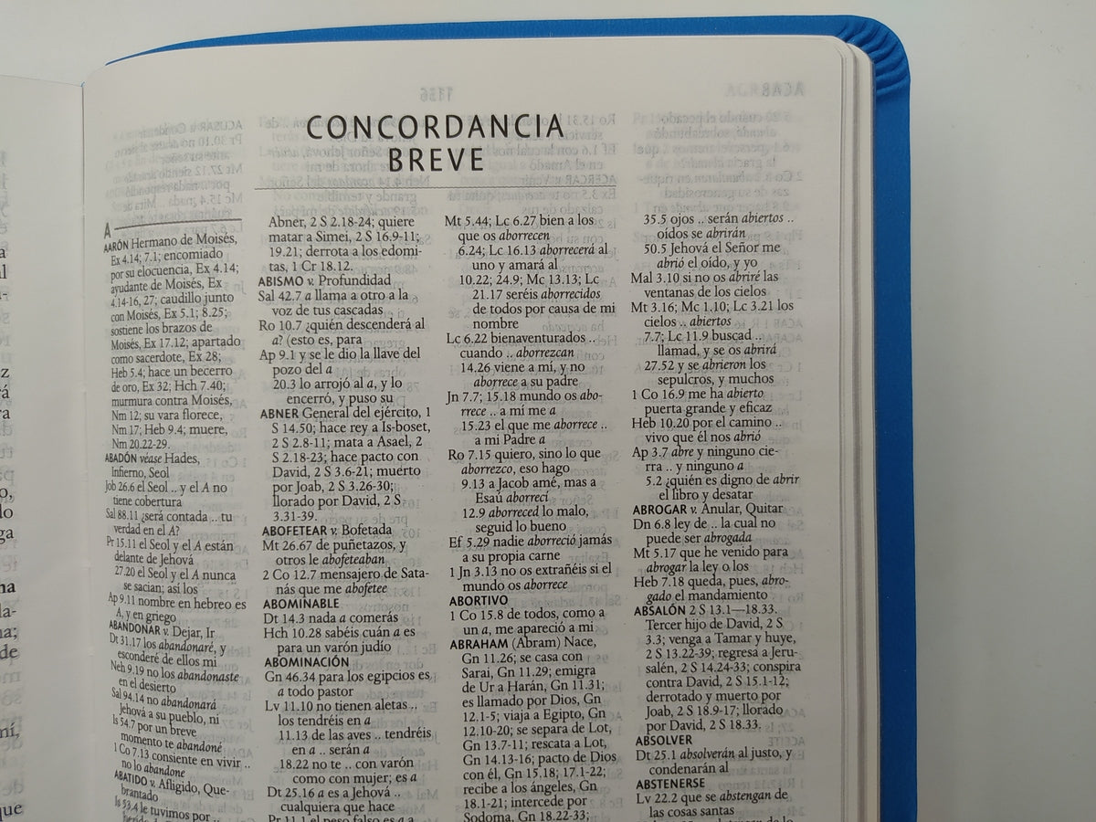 Biblia Reina Valera 1960 Imágenes Tierra Santa – Tapa Imitación Piel Azul Celeste, Letra 10pt, 14x21 cm