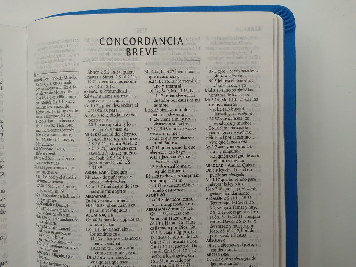Biblia Reina Valera 1960 Imágenes Tierra Santa – Tapa Imitación Piel Azul Celeste, Letra 10pt, 14x21 cm
