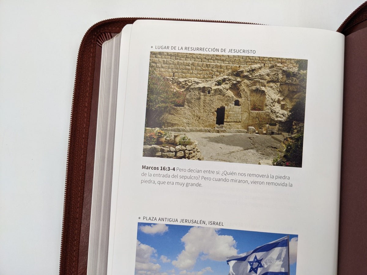 Biblia RVR 1960 Letra 10 Pts 14 X 21 Imit Piel Marron Cierre
