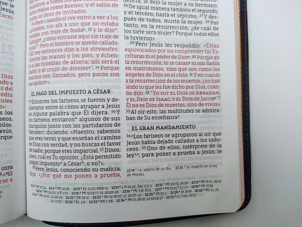 Biblia Nueva Biblia de las Américas Letra Grande Ultrafina