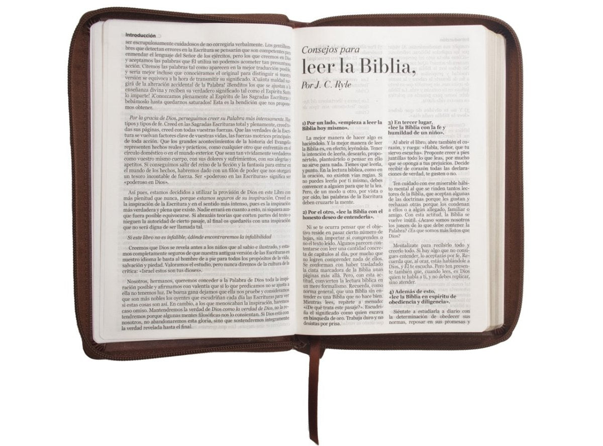 Biblia Reina Valera 1960 · 13,8x21,2 cm · Letra grande 12,5 pt · Con cierre · Edición clásica café