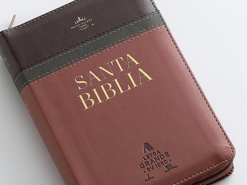Biblia Reina Valera 1960 045Cz L 10P 13X18 Pjr Tricolor Café/Negro/Café