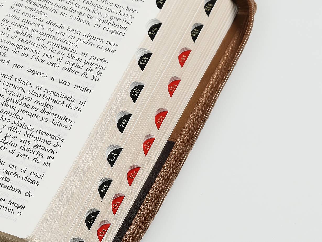 Biblia Reina Valera 1960 · 17x23,5 cm · Letra gigante 15 pt · Con cierre e índice · Diseño Ichtus café