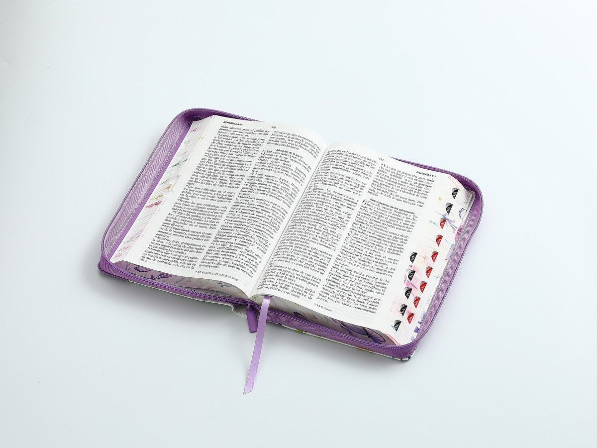 Biblia Reina Valera 1960 · 13,8x21,2 cm · Letra grande 12,5 pt · Con cierre e índice · Colección Pretty lila