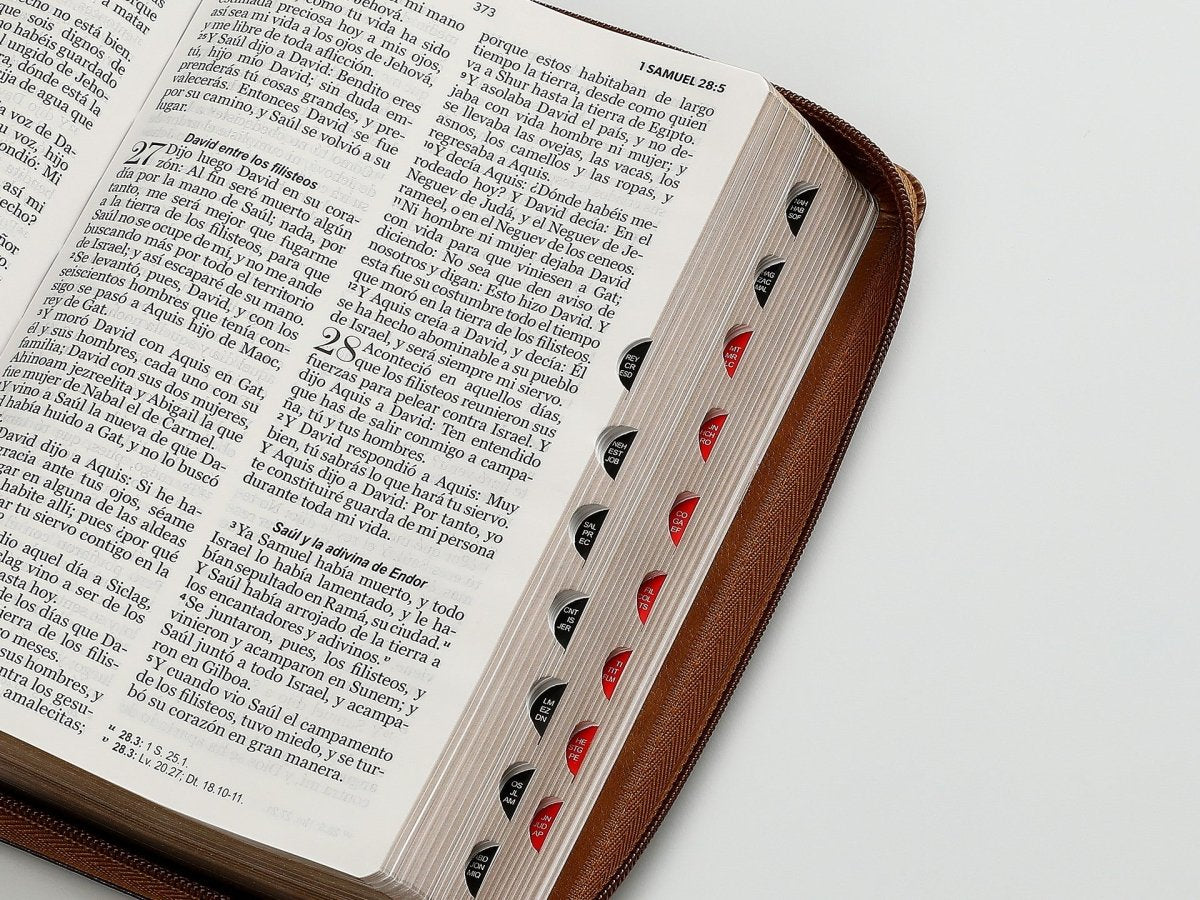 Biblia RVR065LG czti PJR Inspiración Águila Café/café/café