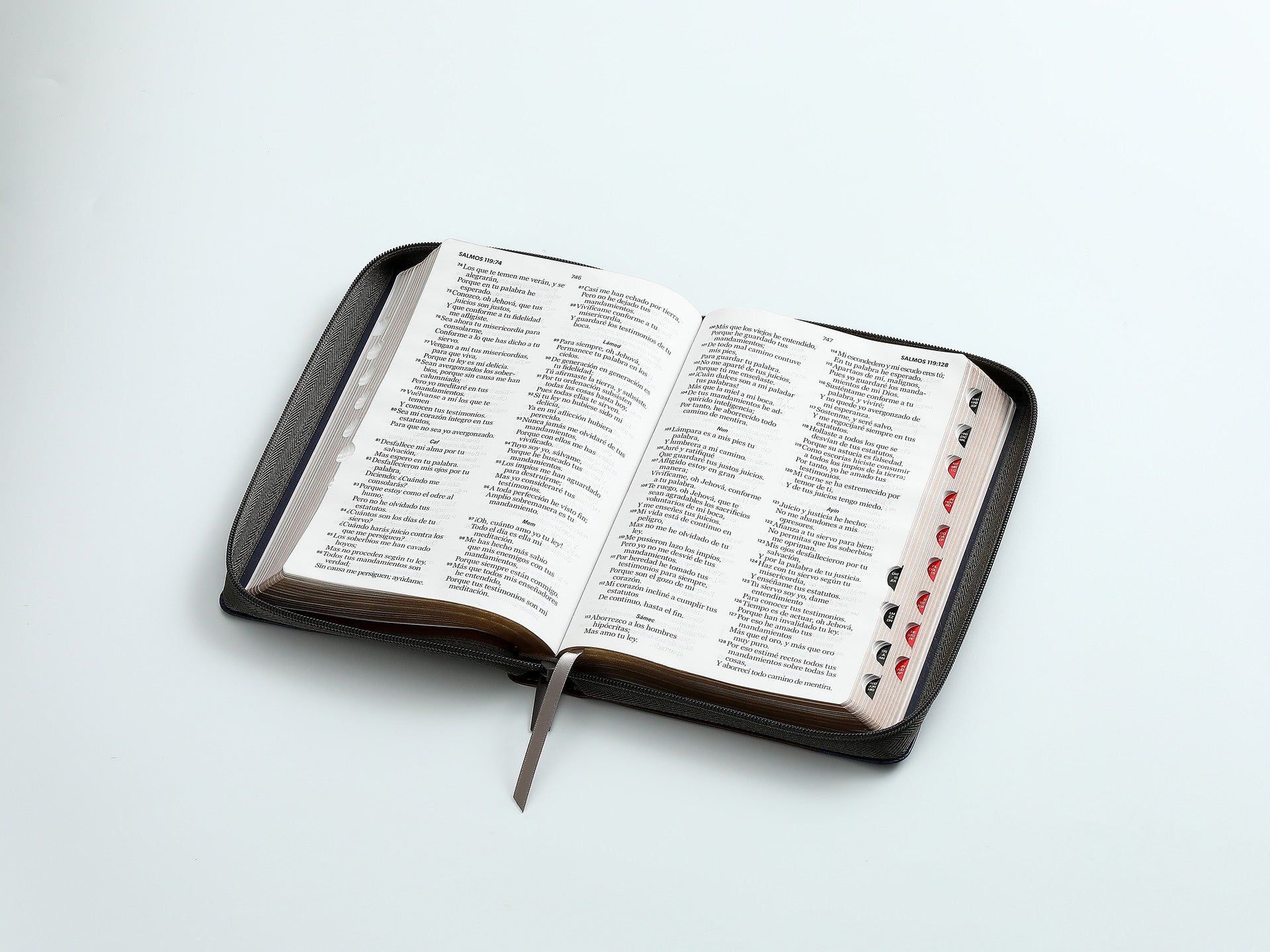 Biblia Reina Valera 1960 065Czti Lg 12P 15 X 23 cm Concordancia Cierre Indice Letra Grande Faro Marrón/Gris/Azul