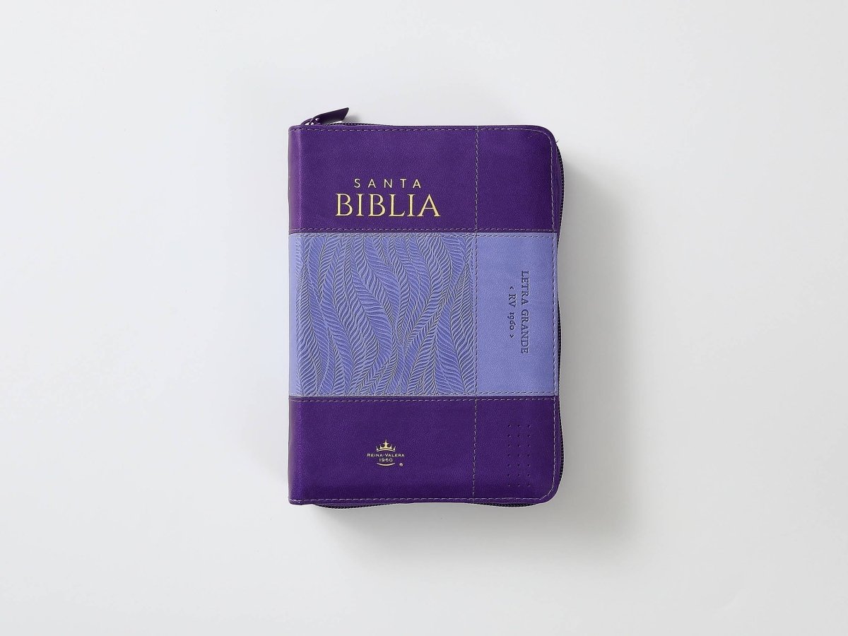 Biblia Reina Valera 1960 045Czti L 10P 11X16Cm Pjr I/Piel Bicolor Lila/Lila