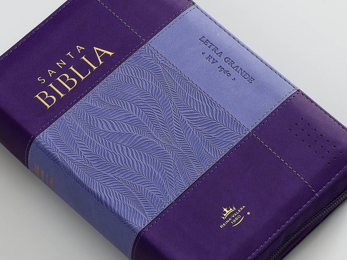 Biblia Reina Valera 1960 045Czti L 10P 11X16Cm Pjr I/Piel Bicolor Lila/Lila