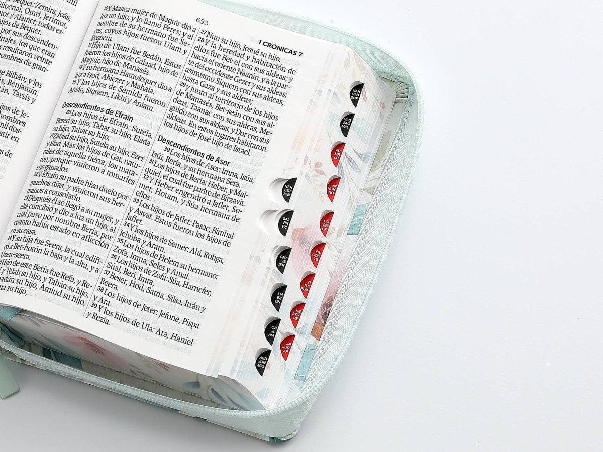 Biblia Reina Valera 1960 045Czti L 10P 11X16Cm Pjr Cp Victoria Flores Sobre Azul