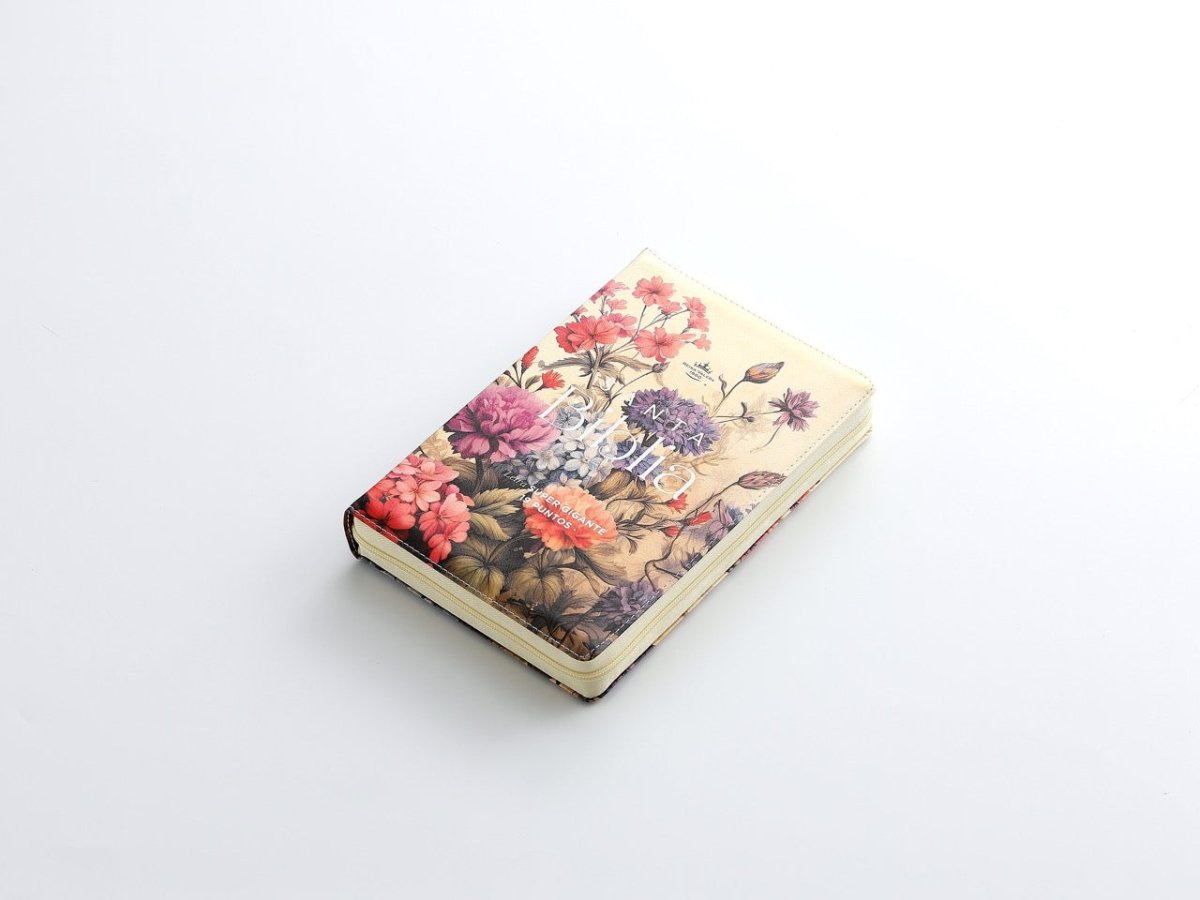 Biblia Reina Valera 1960 088Czti Lsgi 19P 16X23 Cp Jardín Vintage