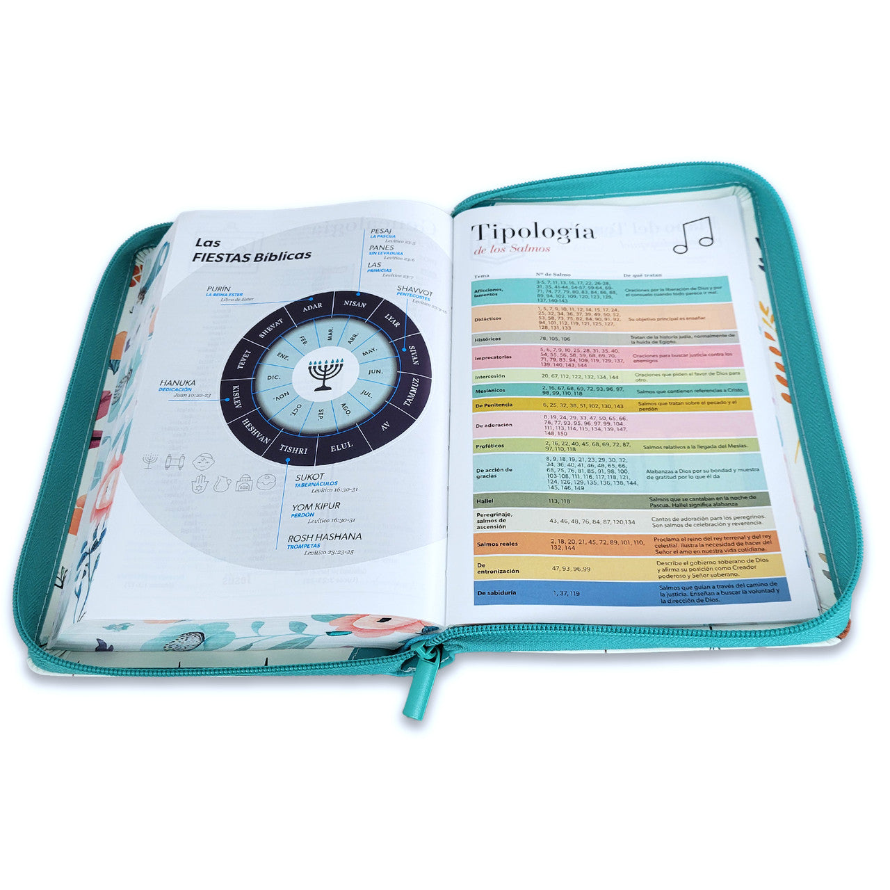 Biblia Reina Valera 1960 065Czti L 12P 14X21 Pjr Cp Jardin Turquesa