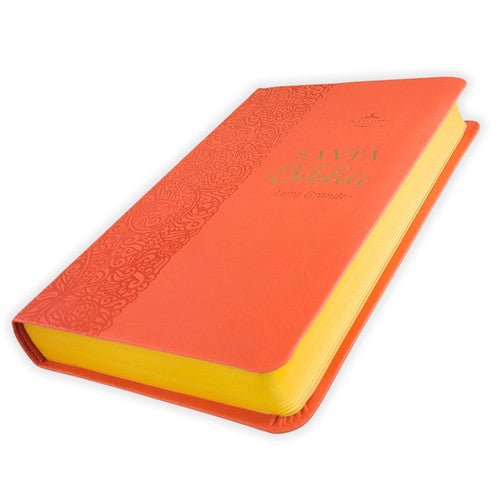 Biblia Reina Valera 1960 – 066 – Con Concordancia – Letra 11 pts – 14x22 cm – PJR - Coral