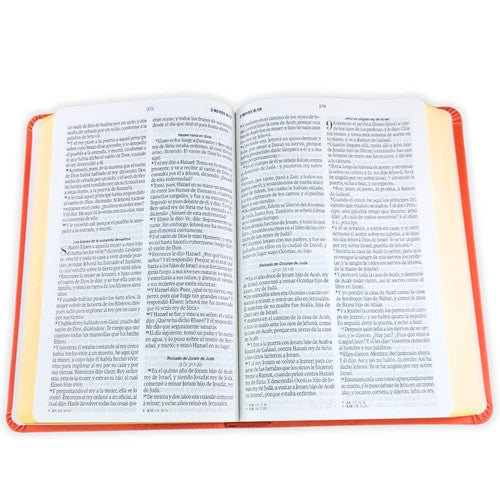 Biblia Reina Valera 1960 – 066 – Con Concordancia – Letra 11 pts – 14x22 cm – PJR - Coral