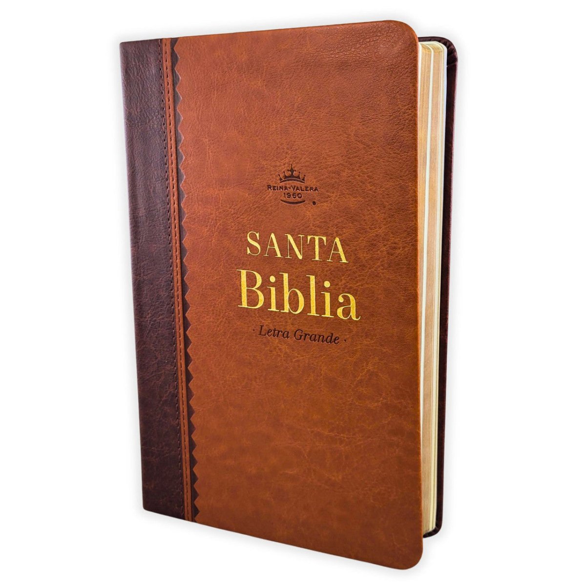 Biblia Reina Valera 1960 – 066 – Con Concordancia – Letra 11 pts – 14x22 cm – Café