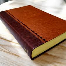 Biblia Reina Valera 1960 – 066 – Con Concordancia – Letra 11 pts – 14x22 cm – Café