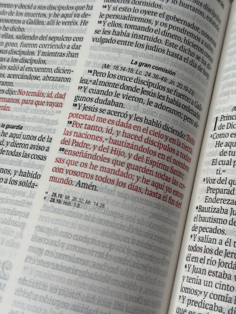 Biblia Reina Valera 1960 Exquisita – Con Concordancia – Letra 11 pts – 14x22 cm – Tapa PU – Mariposas en Primavera – Con Manija y Broche