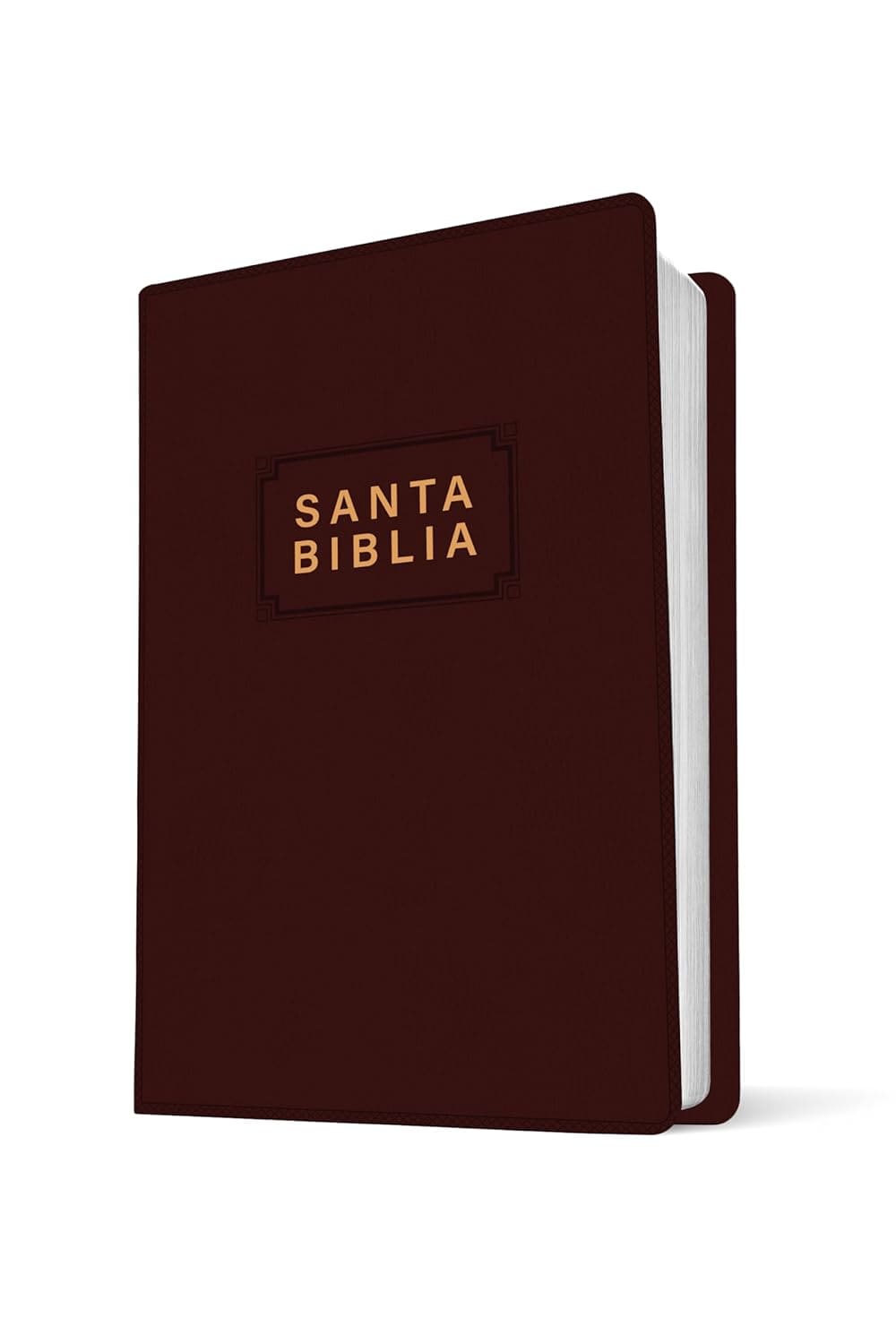 Biblia Nueva Traducción Viviente – Tapa Vinilo Bordo, Letra 7.25pt, 13.5x21.5 cm