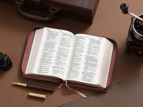 Biblia Reina Valera 1960 045Cz L 10P 13X18 Pjr Tricolor Café/Negro/Café