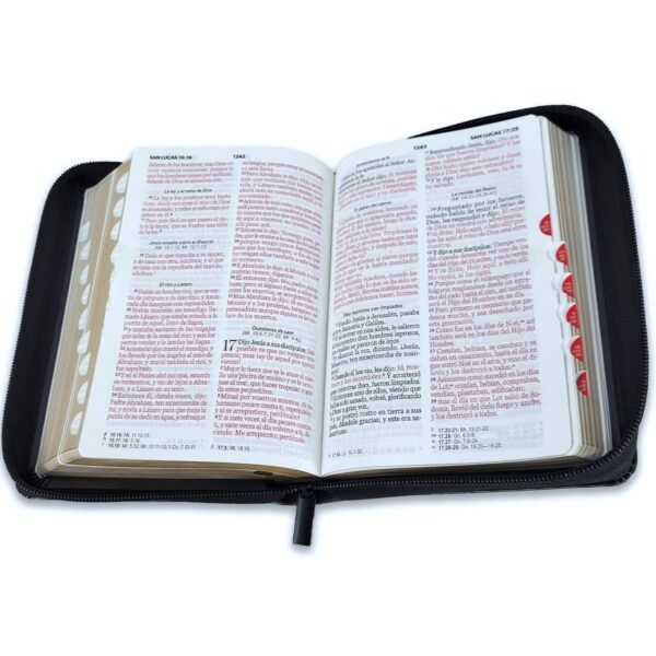 Biblia Reina Valera 1960 045Czti L 10P 13X18 Pjr Aguila China 200 8,70 1739,40