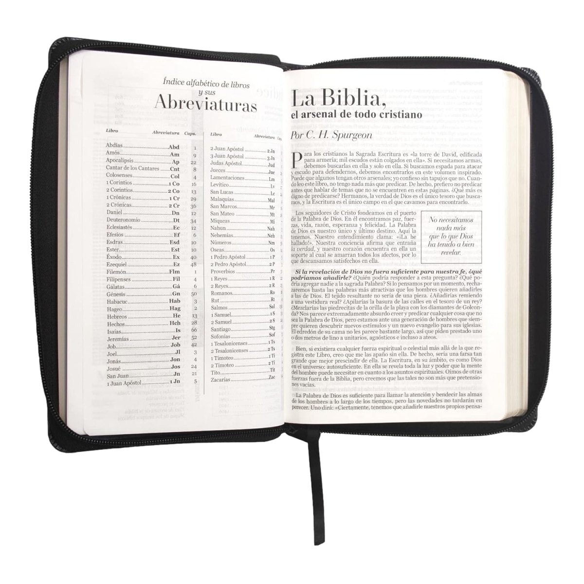 Biblia Reina Valera 1960 · 14x21cm · Letra grande 12 puntos · Con cierre · Edición clásica negra