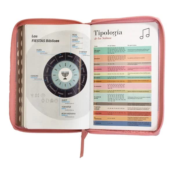 Biblia Reina Valera 1960 · 13,8x21,2 cm · Letra grande 12,5 pt · Con cierre e índice · Diseño bitono rosa y azul