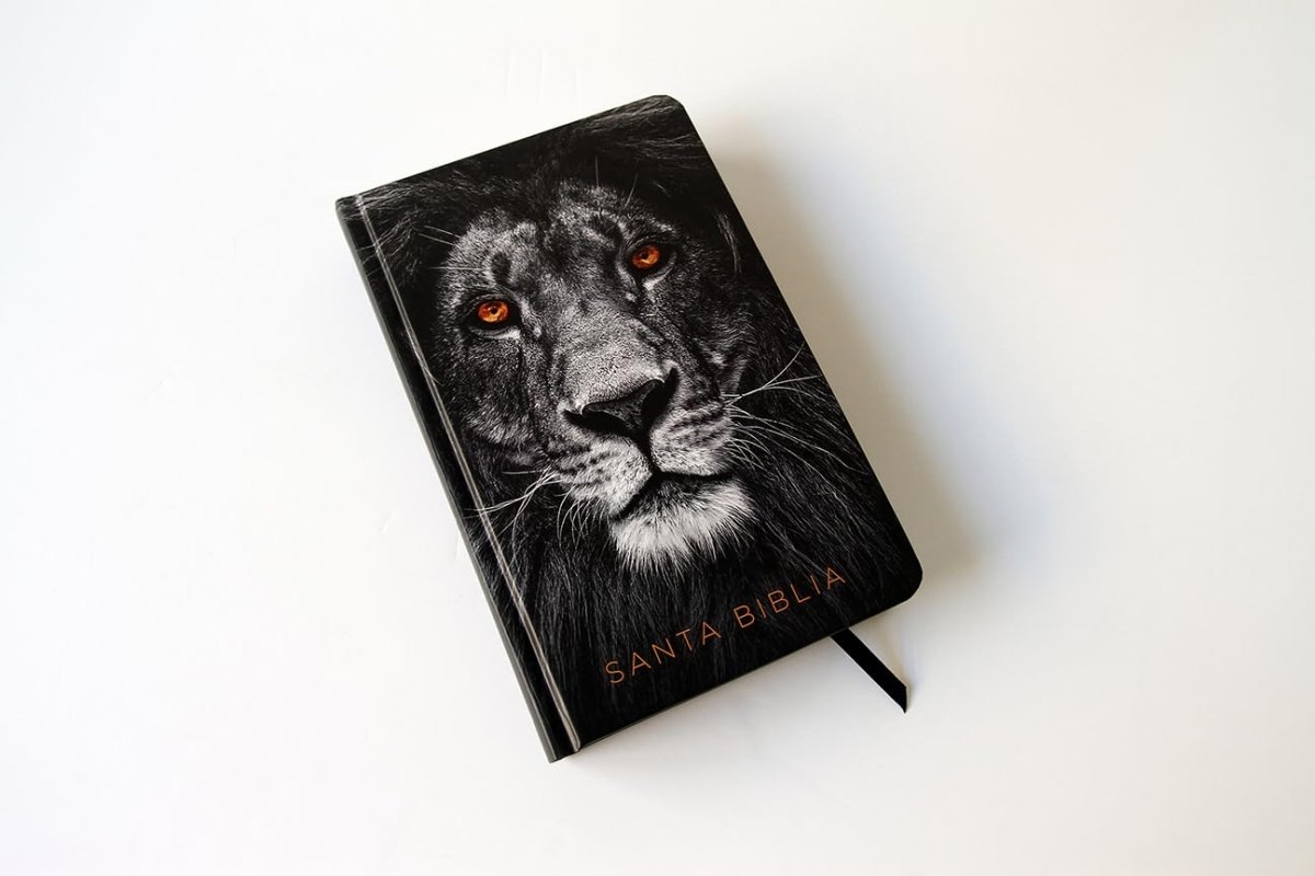 Biblia RVR 1960 Letra 10 Pts 14 X 21 TD León De Judá
