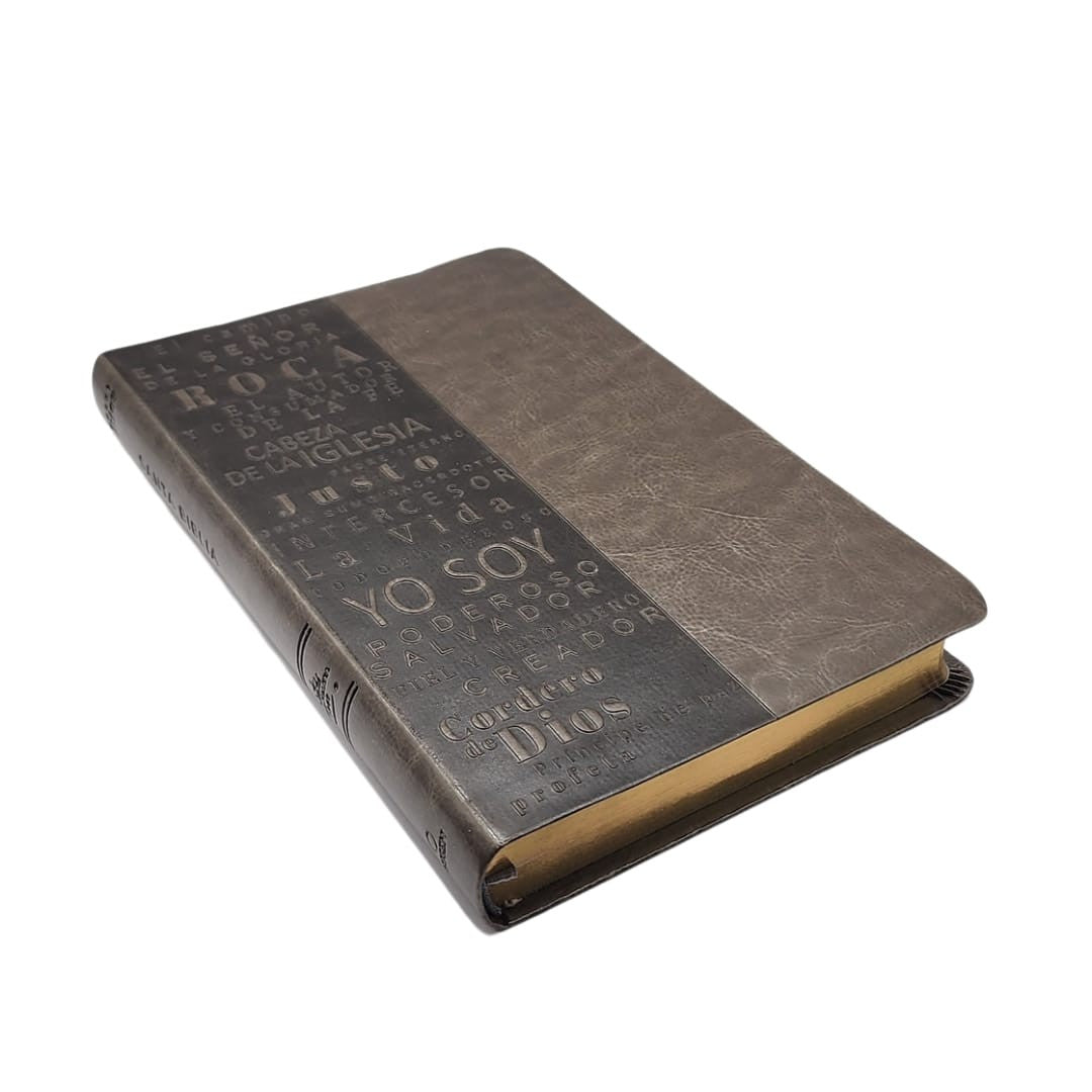 Biblia RVR 1960 Letra 10 Pts 14 X 21 Nombres De Dios Gris