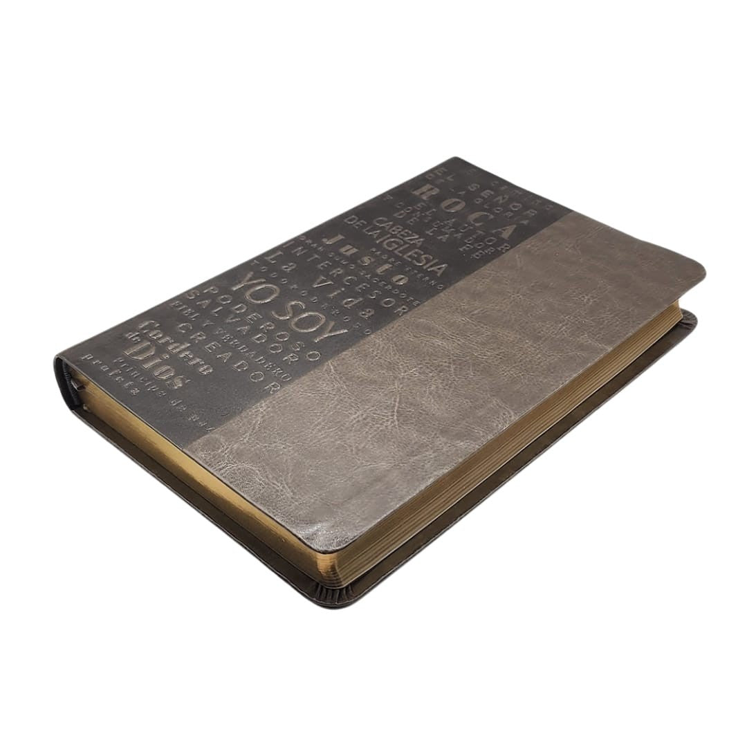Biblia RVR 1960 Letra 10 Pts 14 X 21 Nombres De Dios Gris