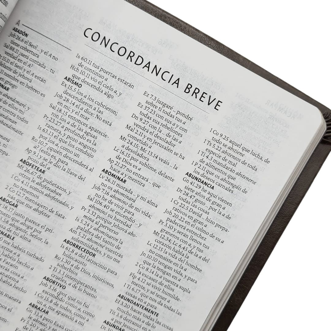 Biblia RVR 1960 Letra 10 Pts 14 X 21 Nombres De Dios Gris