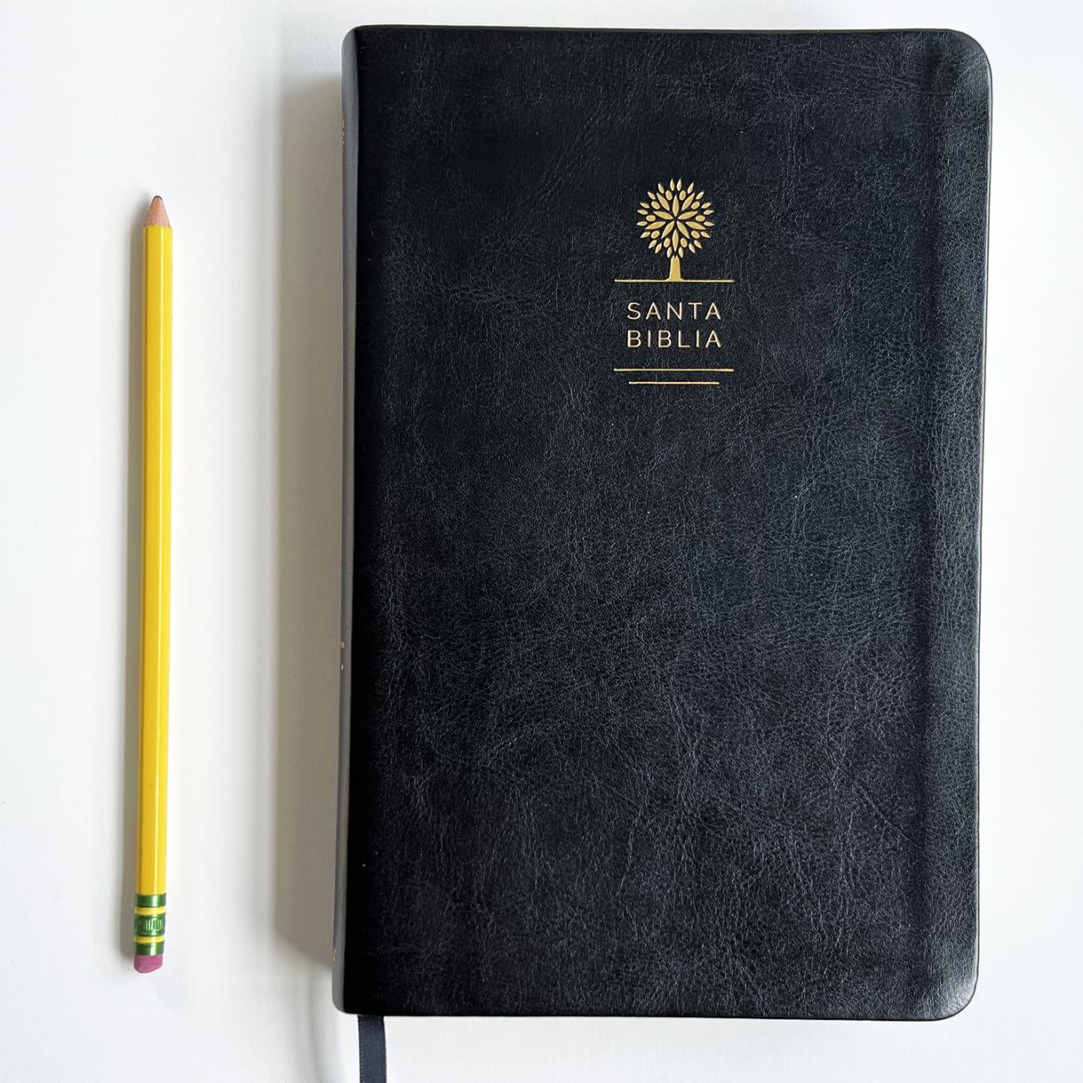 Biblia Reina Valera 1960 Imágenes Tierra Santa – Tapa Imitación Piel Negro, Letra 10pt, 14x21 cm