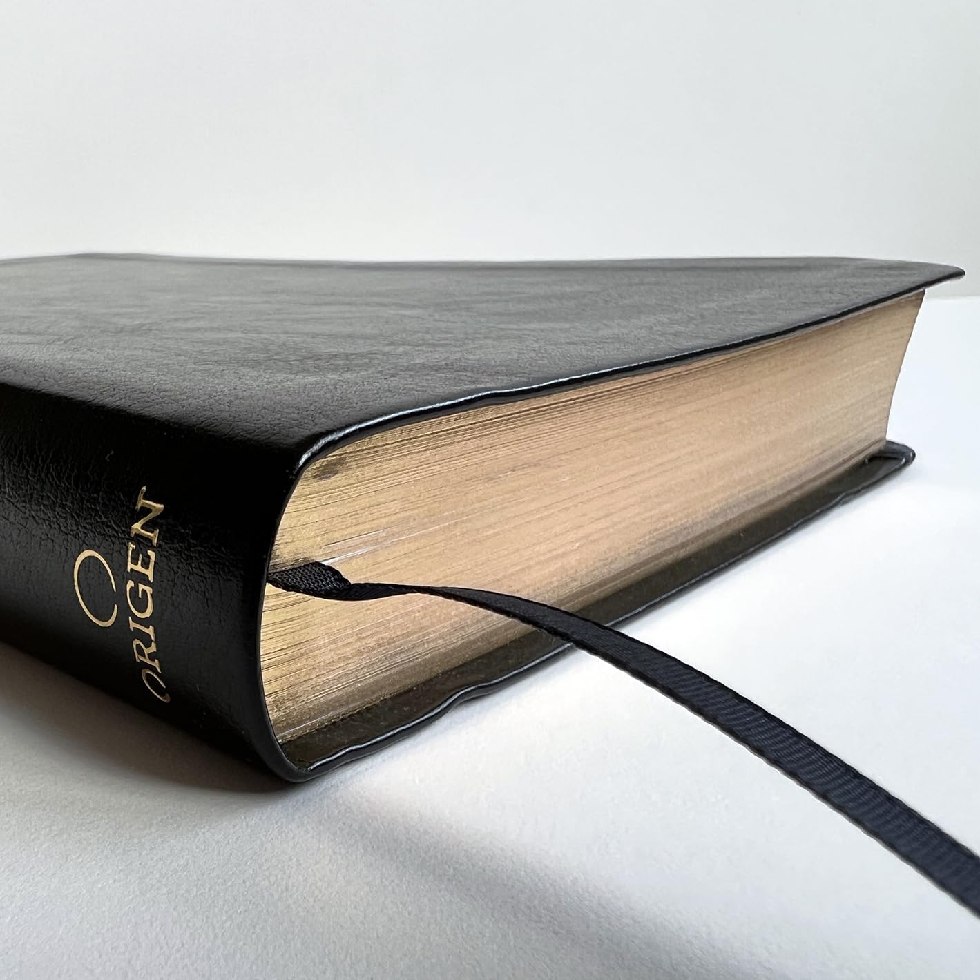 Biblia Reina Valera 1960 Imágenes Tierra Santa – Tapa Imitación Piel Negro, Letra 10pt, 14x21 cm