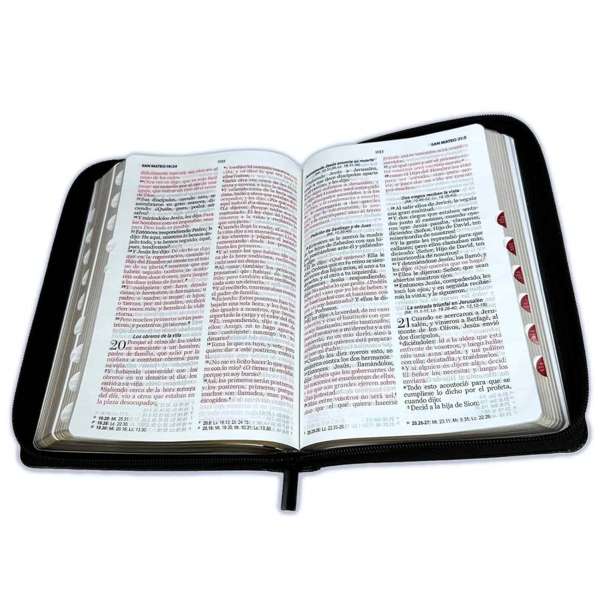 Biblia Reina Valera 1960 · 13,8x21,2 cm · Letra grande 12,5 pt · Con cierre e índice · Diseño bitono negro y gris