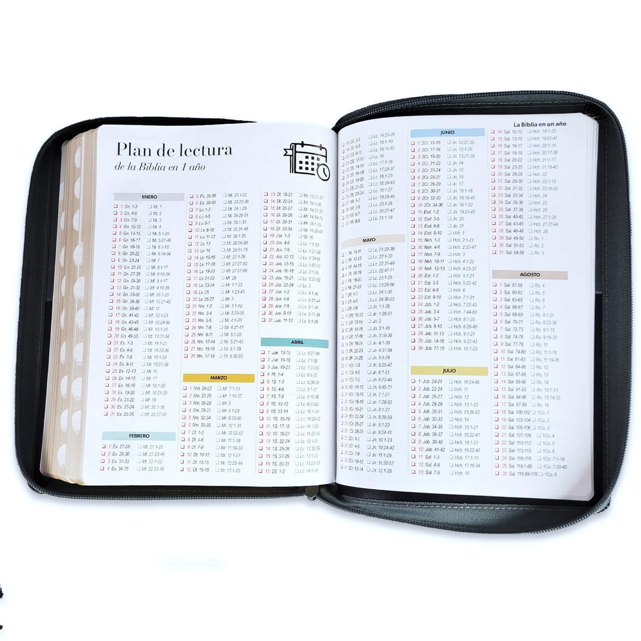 Biblia Reina Valera 1960 – 088 – Con Concordancia – Letra 19 pts – 16x23 cm – PJR - Cierre con Índice – Café