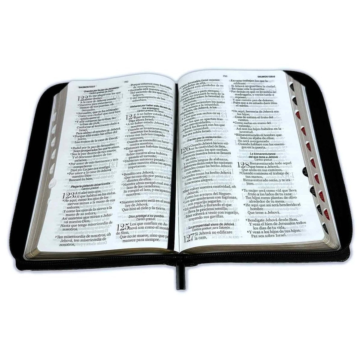 Biblia Reina Valera 1960 · 13,8x21,2 cm · Letra grande 12,5 pt · Con cierre e índice · Diseño bitono negro y gris