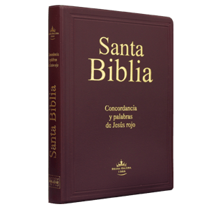 Biblia Letra Gigante Tapa Blanda Marron Reina Valera 1960