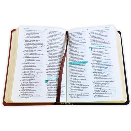 Biblia Mediana Fuente De Bendiciones Reina Valera 1960