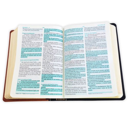 Biblia Mediana Fuente De Bendiciones Reina Valera 1960