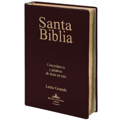 Biblia Reina Valera 1960 Letra Grande Concordancia PJR Vinil Bordó