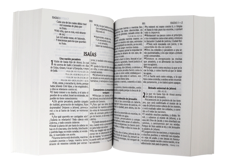 Biblia Reina Valera 1960 pequeña concordancia Tapa Rústica Colores