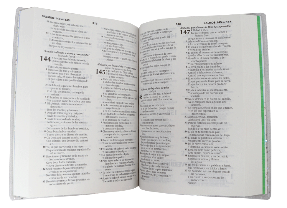 Biblia Para Niños Mig Y Meg Reina Valera 1960